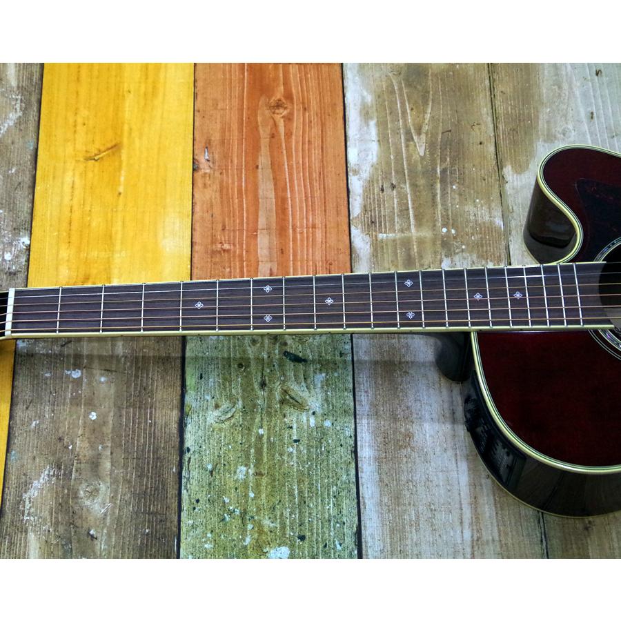 Takamine Takamine DMP551C WR : みどり楽器Yahoo!ショップ - 通販