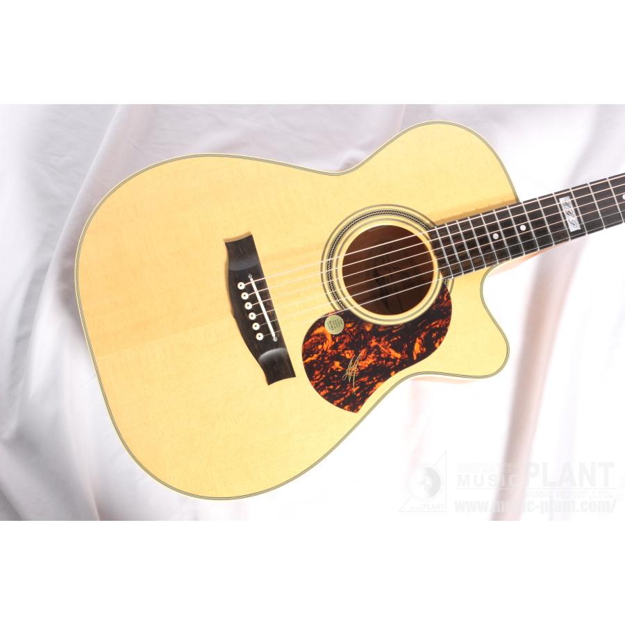 Maton(メイトン) EBG808CTE Tommy Emmanuel Signature : ミュージック