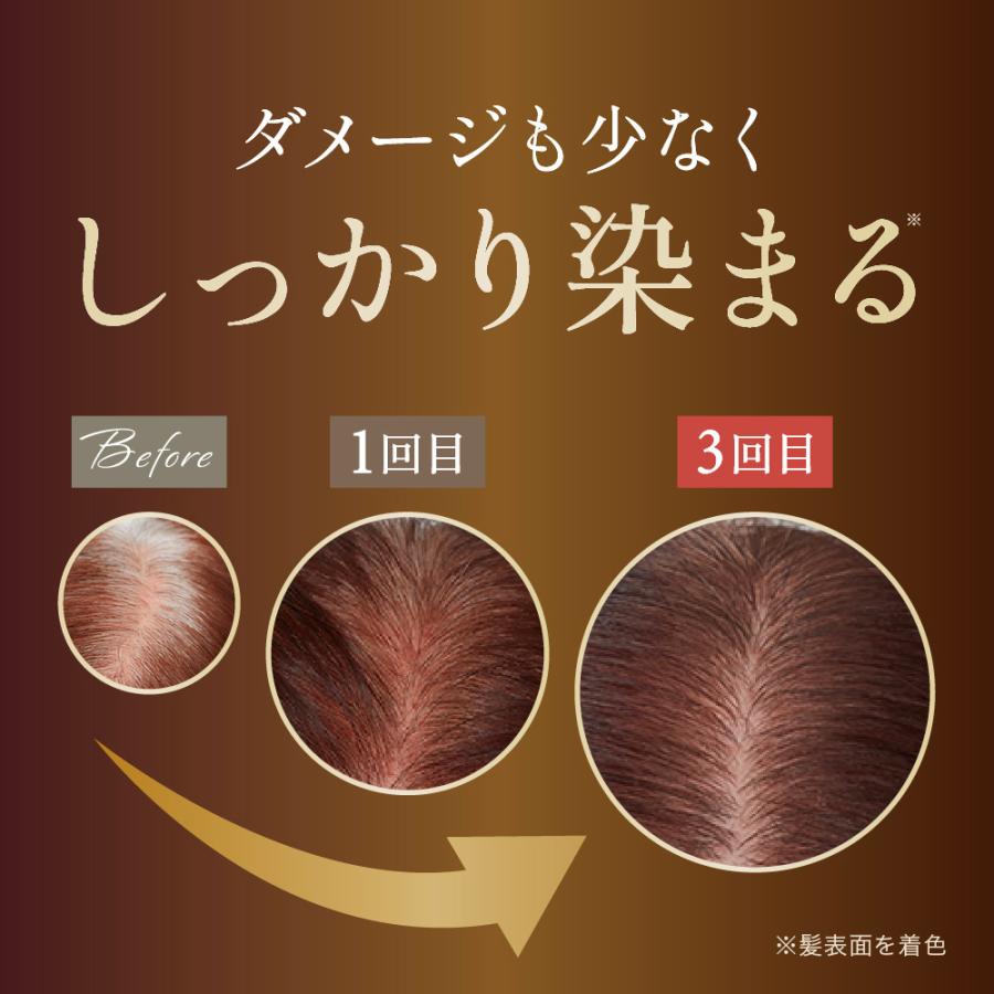 マイナチュレ カラートリートメント ダークブラウン ブラウン 同色2本