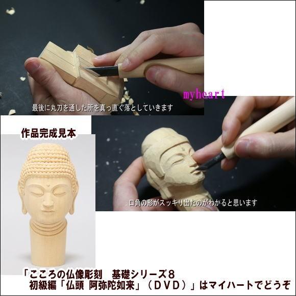 こころの仏像彫刻 基礎シリーズ8 初級編「仏頭 阿弥陀如来
