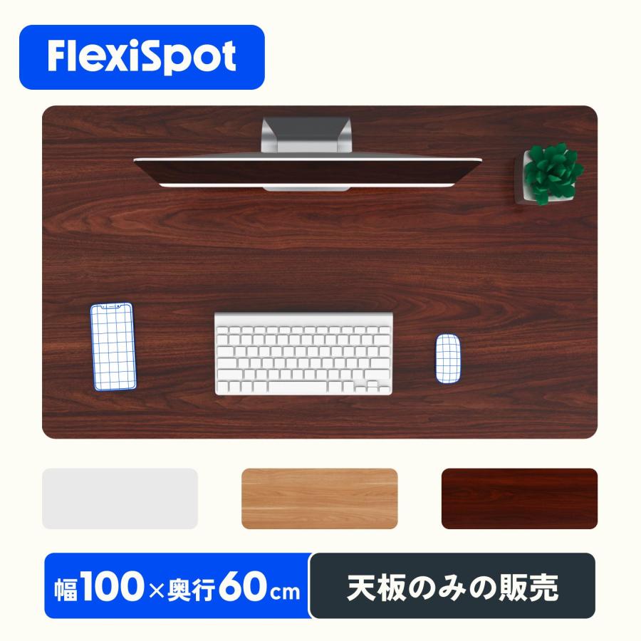 FlexiSpot デスク 天板のみ 昇降デスク 100×60 電動昇降デスク