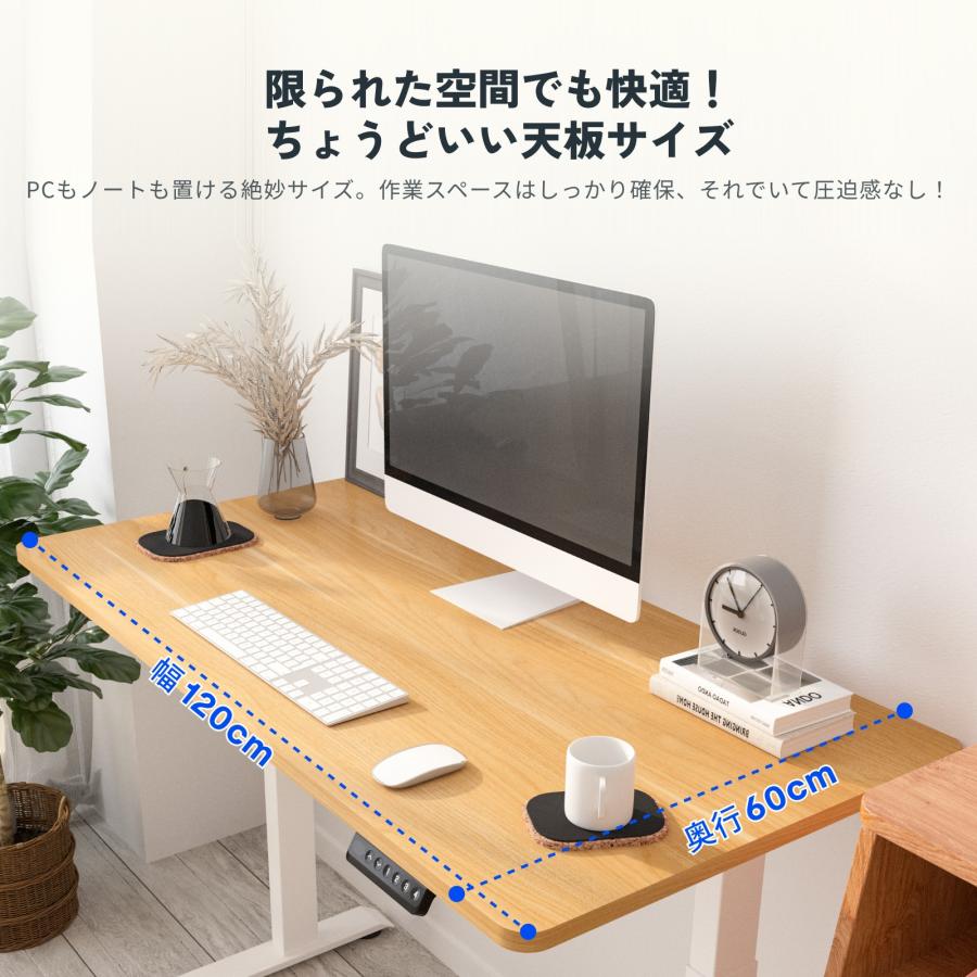 FlexiSpot パソコンデスク 120cm 昇降デスク 電動 FlexiSpot E9 デスク
