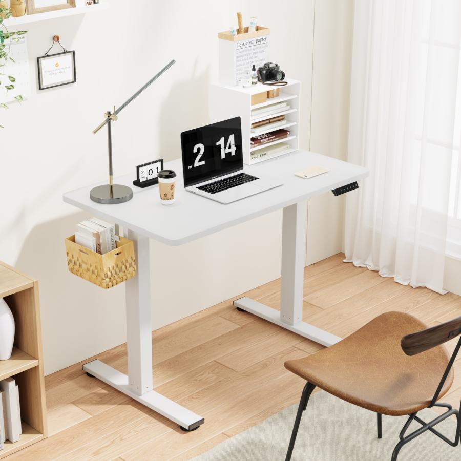 FlexiSpot スタンディングデスク FlexiSpot EF1 昇降式デスク 電動