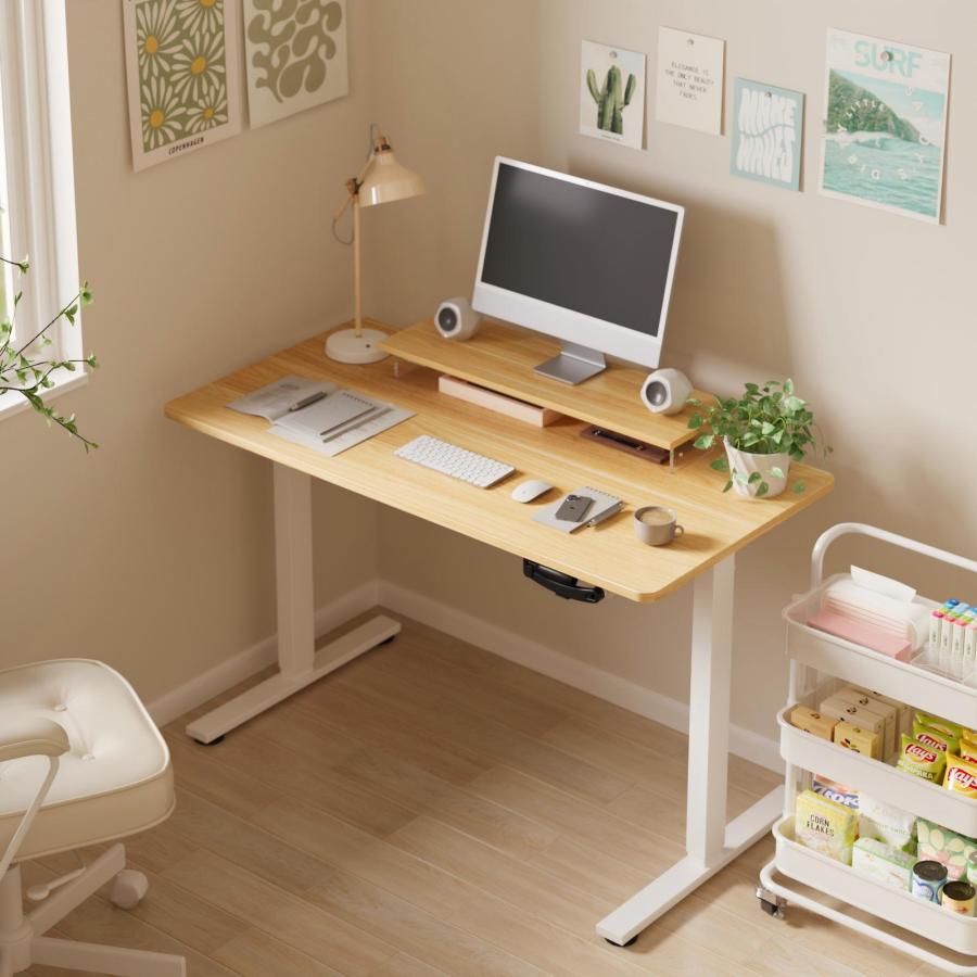 FlexiSpot 昇降デスク 手動 FlexiSpot H1 Basic 手動式昇降デスク