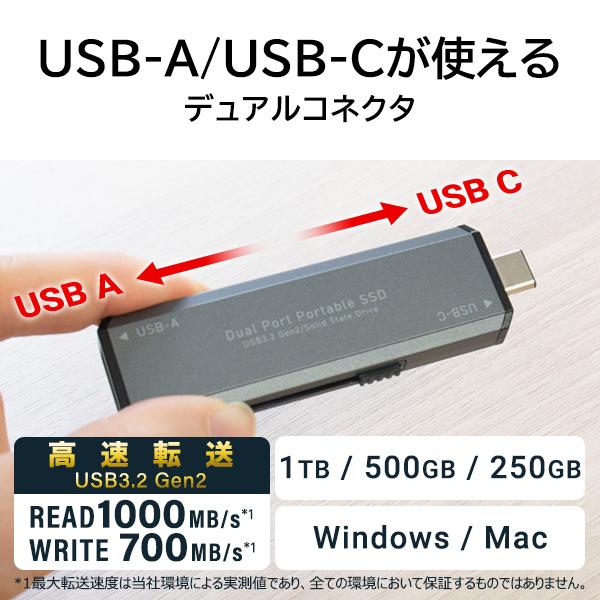 ロジテック SSD 外付け 500GB 高速 R:1000MB/s type-C type-A 両対応