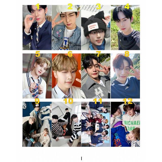 ⚠️ 本日限定価格 ジャンハオ トレカ 49枚 セット ⚠️ 本日限定価格