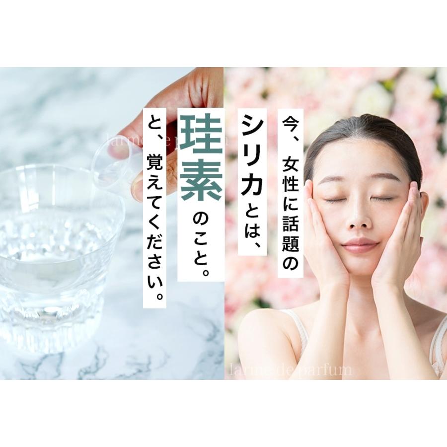 2本セット】 シリカ 濃縮液 高濃度10000ppm ボタニカルケイソ 500ml