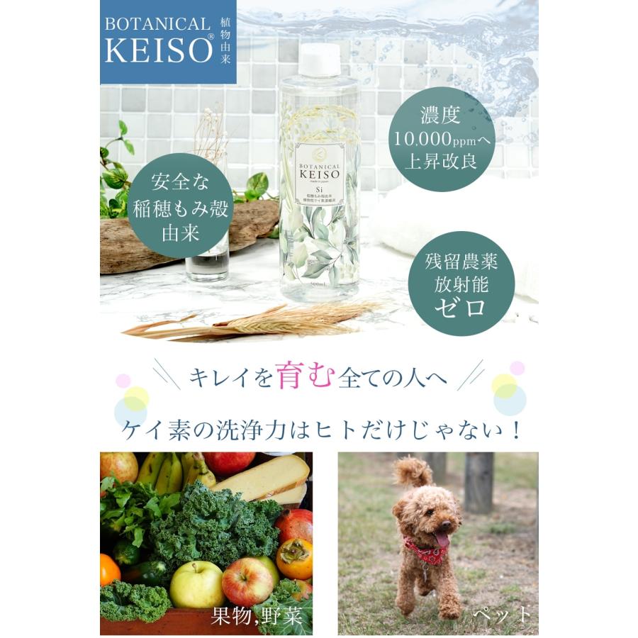 2本セット】 シリカ 濃縮液 高濃度10000ppm ボタニカルケイソ 500ml