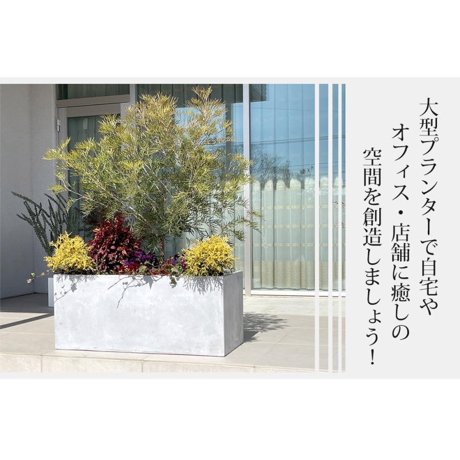 リーベン 【☆ご購入特典あり】プランター 大型 植木鉢 ガーデニング