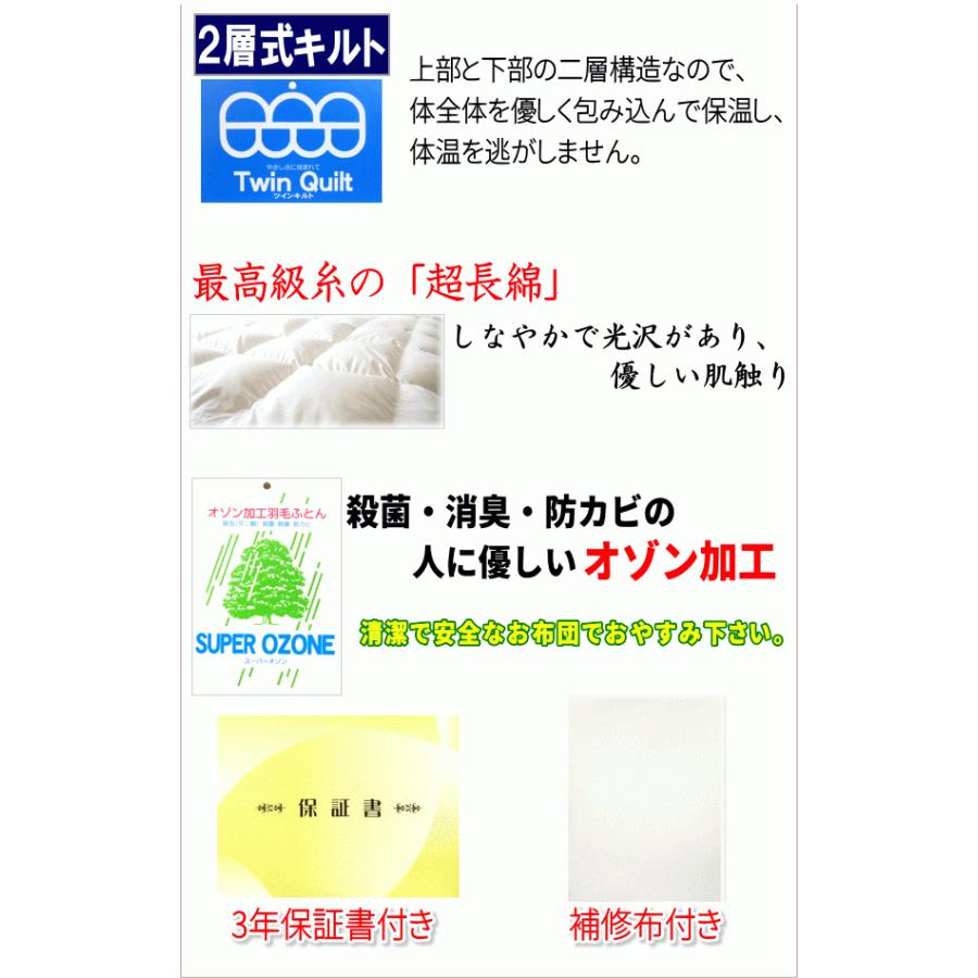 ポーランド産ホワイトマザーグースダウン93％ 2層キルト 二層 429dp