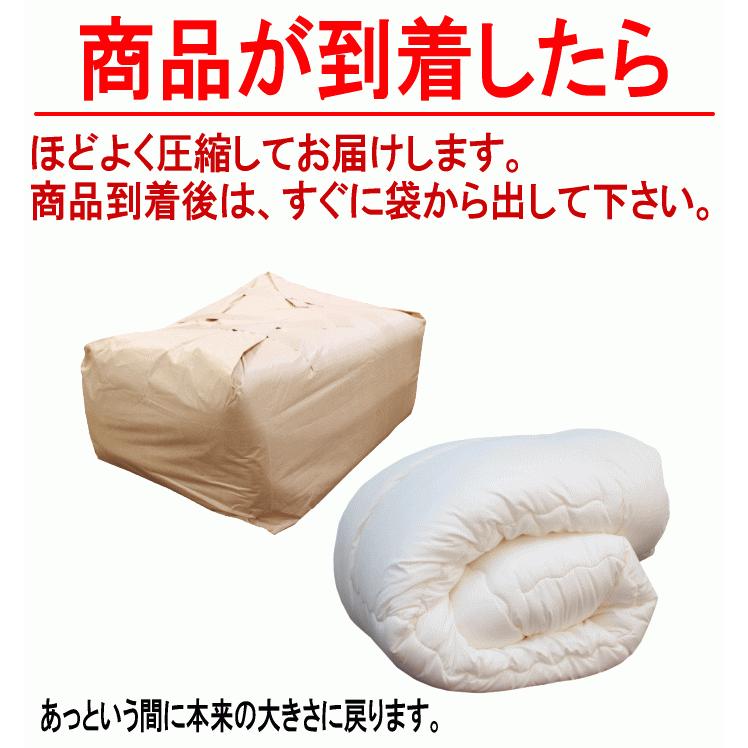 掛布団 クイーン クィーン フィルケア 抗菌 防臭 洗える 掛けふとん