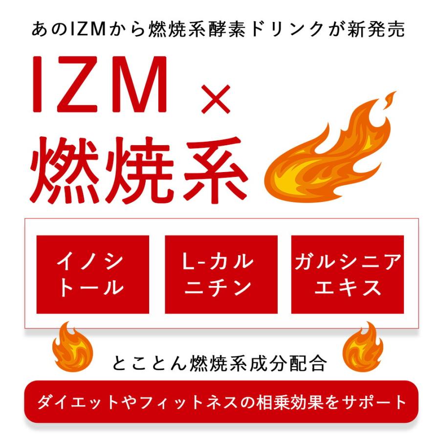 IZM BURN イズム バーン アセロラ味 1000mL【 6本セット 】 5倍希釈