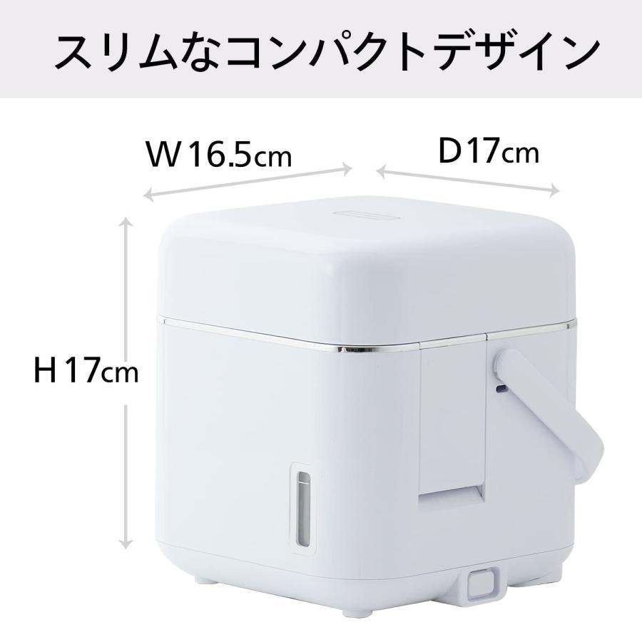 ツインバード（TWINBIRD） フェイススチーマー 美顔器 イオン ミラー付