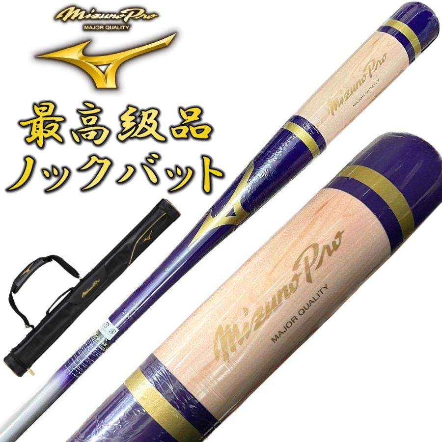 MIZUNO（ミズノ） 【1本入れバットケース付き】パープル×シルバー