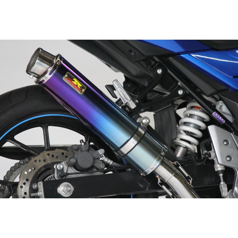 GSX Realize GSX250R バイクマフラー 2BK-DN11A 8BK-DN12B アリア