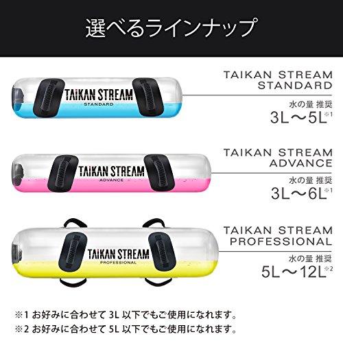 MTG 体幹トレーニングギア TAIKAN STREAM(タイカン ストリーム