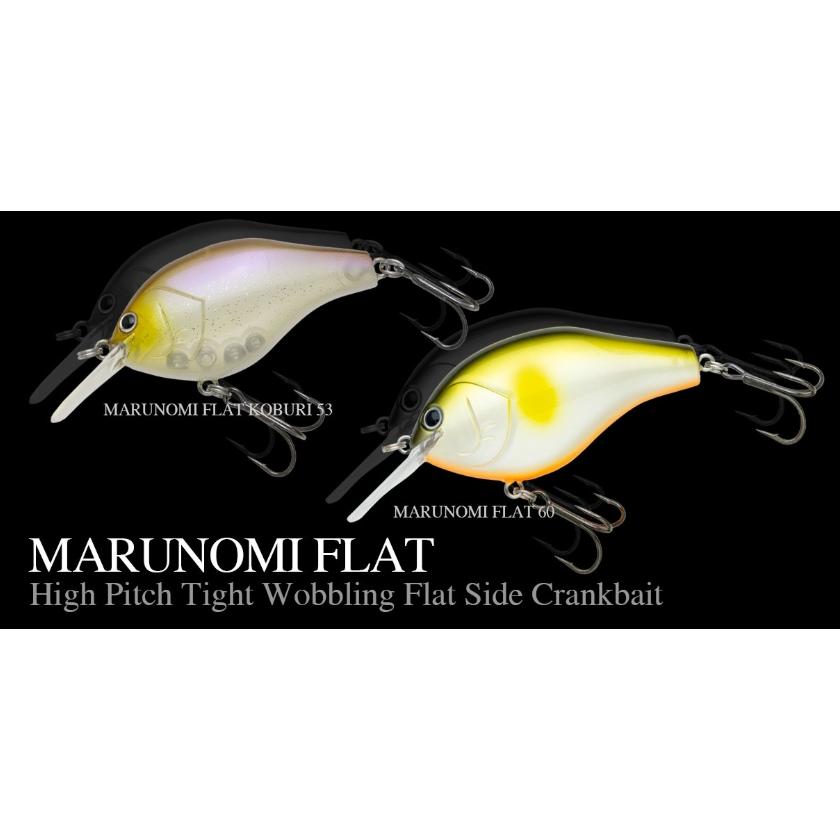 NORIES（ノリーズ） *ノリーズ マルノミフラット コブリ53 : ルアー