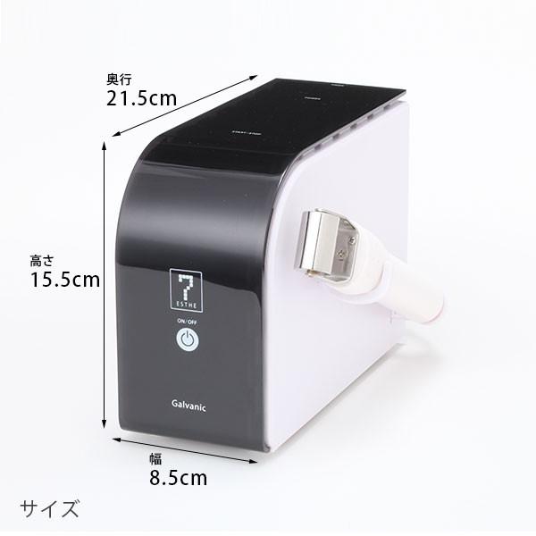 業務用 サロン用 イオン導入 美顔器 HD イオン導入器 イオン美顔器