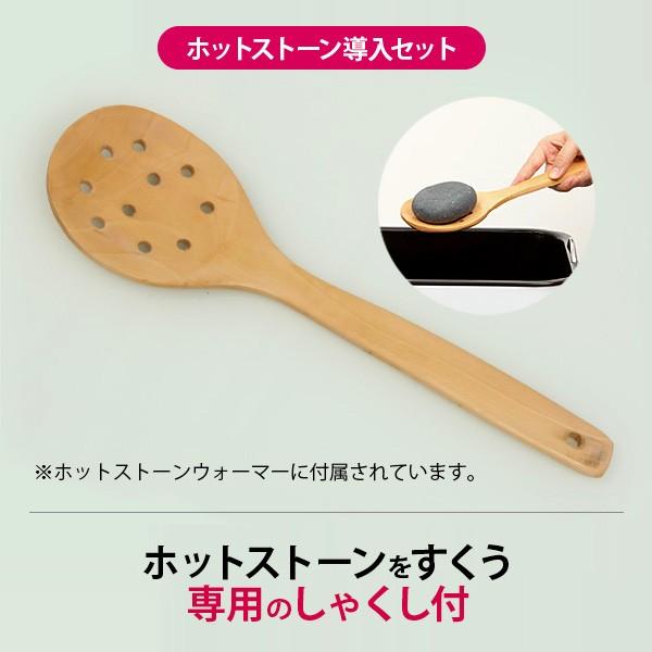ホットストーン 導入セット ウォーマー ストーン16個 ストーンセラピー
