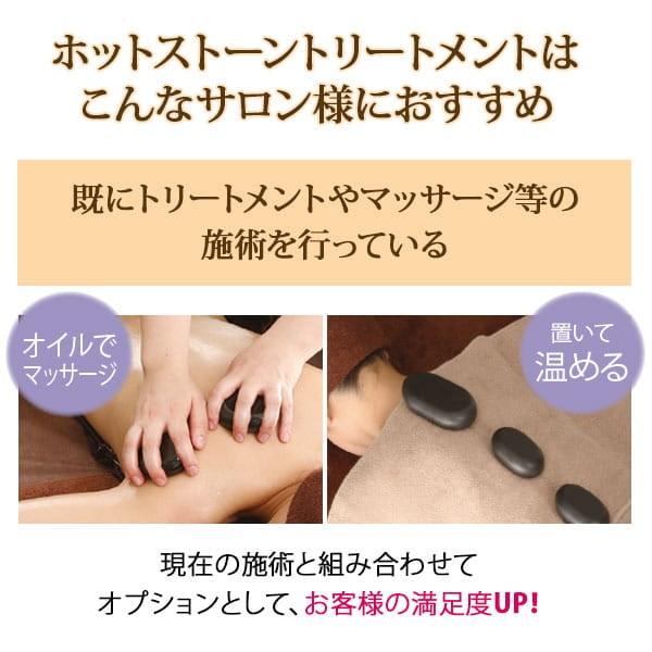 ホットストーン 導入セット C ウォーマー+ストーン45個 ストーン
