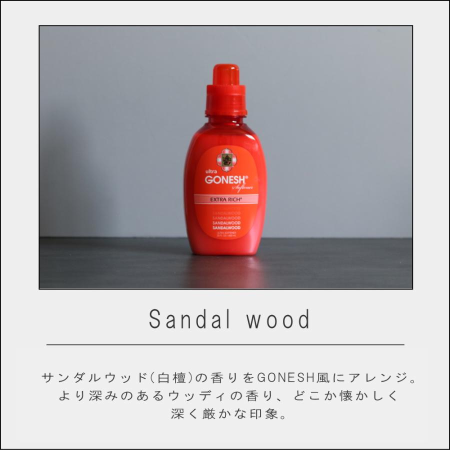 GONESH（ガーネッシュ） ( GONESH ガーネッシュ ウルトラソフナー 2本