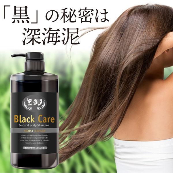Black Care ブラックケアシャンプーKD 600ml 2本セット リンス不要