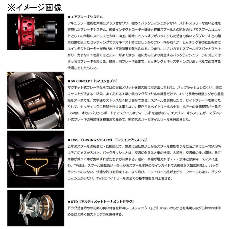 DAIWA（ダイワ） ベイトリール ALPHAS(アルファス) SV TW 800S-XHL 左