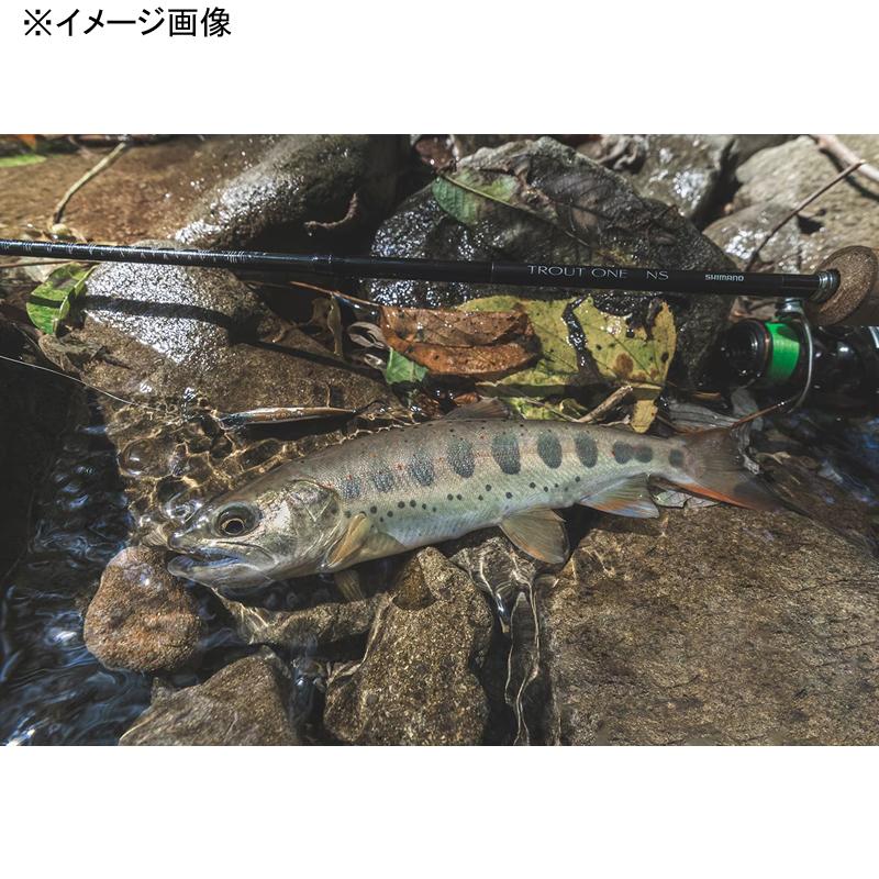 シマノ（SHIMANO） トラウトロッド 24 トラウトワン NS S 70L S 70L