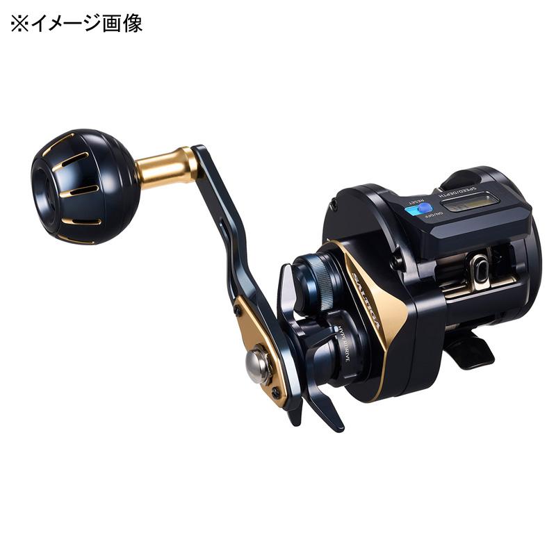 DAIWA（ダイワ） ベイトリール 25ソルティガ IC 100P-DH-C 右巻き 100P