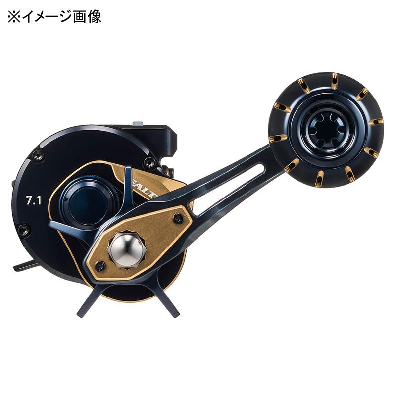 DAIWA（ダイワ） ベイトリール 25ソルティガ IC 100P-DH-C 右巻き 100P