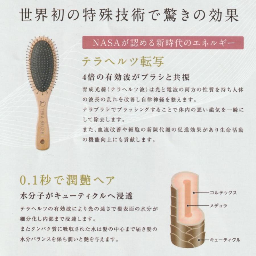 テラヘルツ波 転写 ヘアーブラシ 正規品 TERA BRUSH テラブラシ