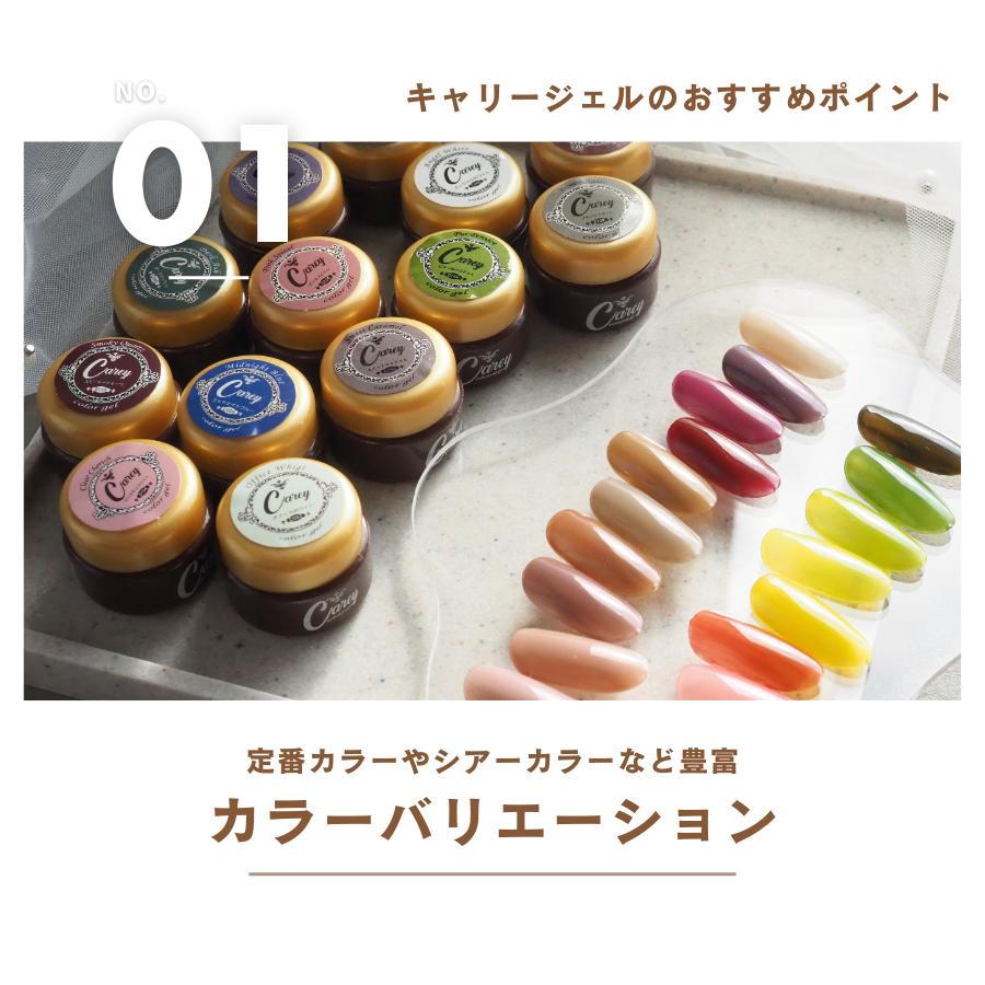 Carey カラージェル 160色 コンプリートセット ジェルネイル ネイル 全
