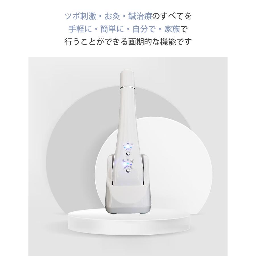 certa ケルタ ツボセンサー搭載美容機器 ラジオ波 エレクトロポ