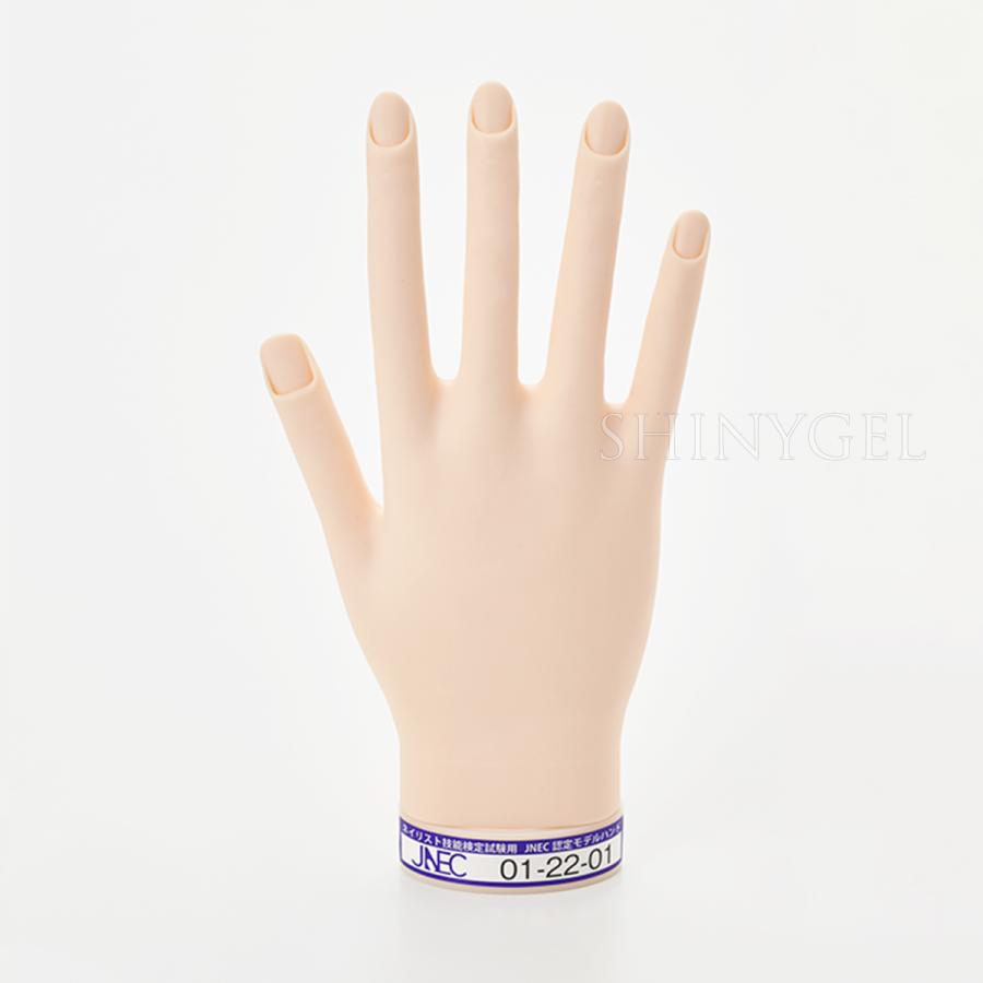取り寄せ】STモデルハンド 右手（JNEC認定モデルハンド） : シャイニー