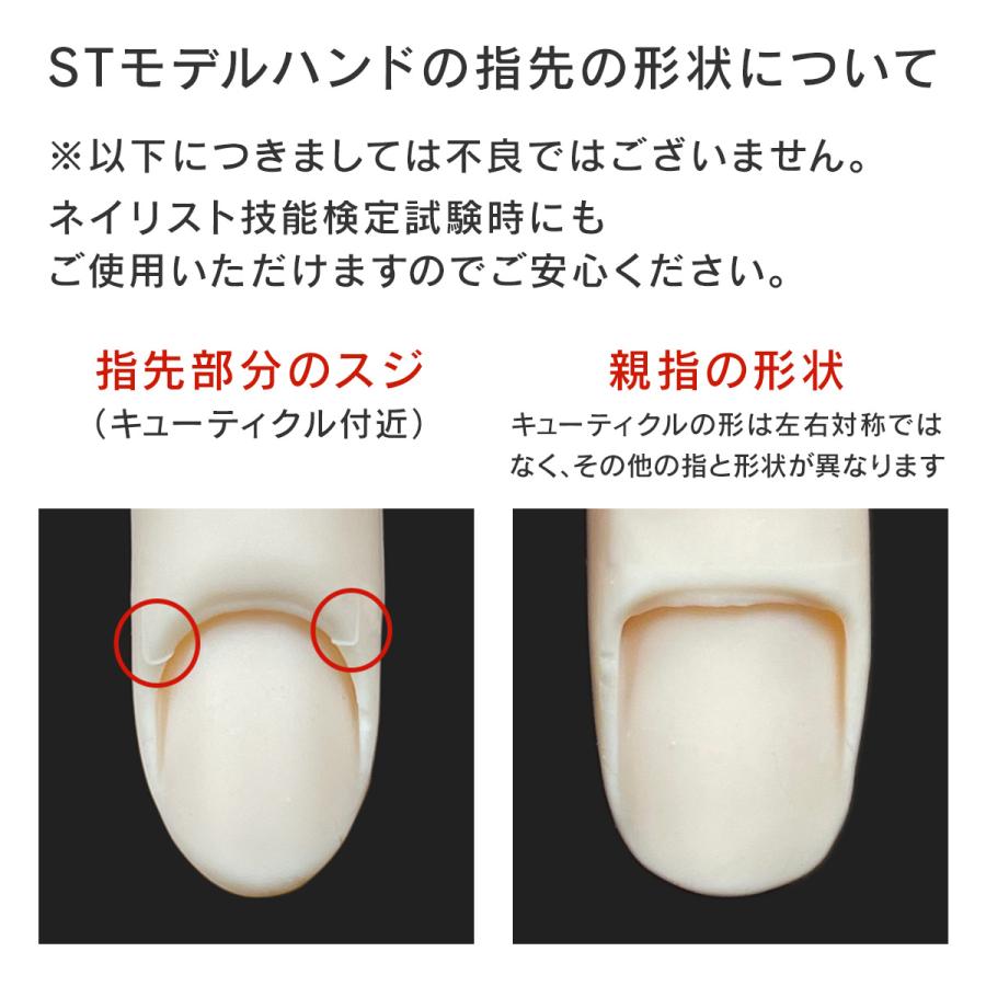 取り寄せ】STモデルハンド セット（JNEC認定モデルハンド