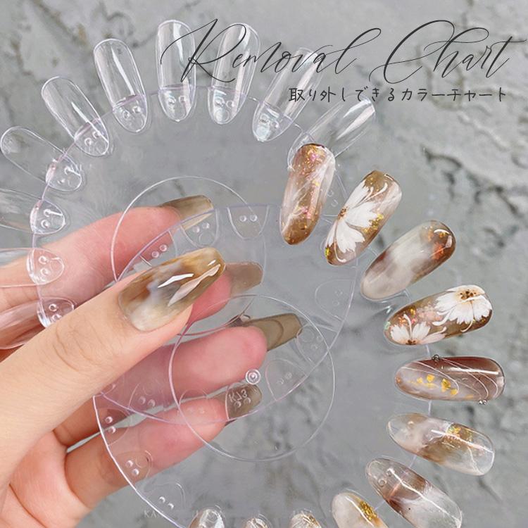 カラーチャート 着脱式円盤セット 色見本 チャート 展示 ジェルネイル