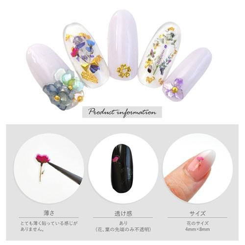 押し花ネイルシール 極薄 押し花 押花 ドライフラワー 不透明 カラー