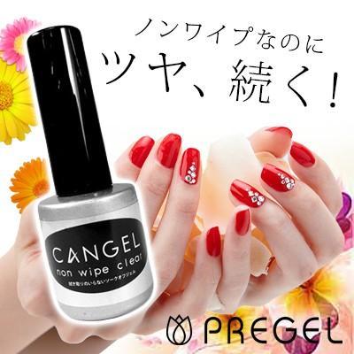 PREGEL ジェルネイル セット プリジェル ノンワイプクリア トップ