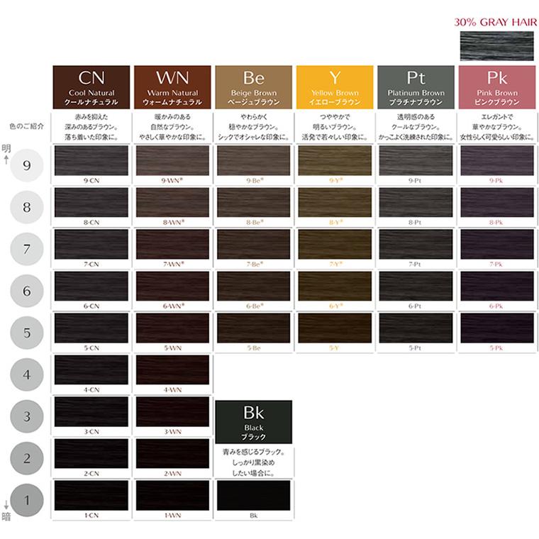 Dianist Eclat （在庫限り）資生堂プロフェッショナル ディアニスト