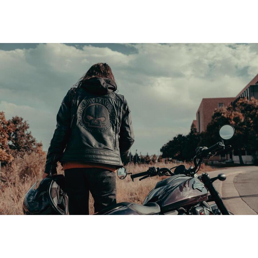 Harley Davidson（ハーレー・ダビッドソン） オーロラスカル レザー