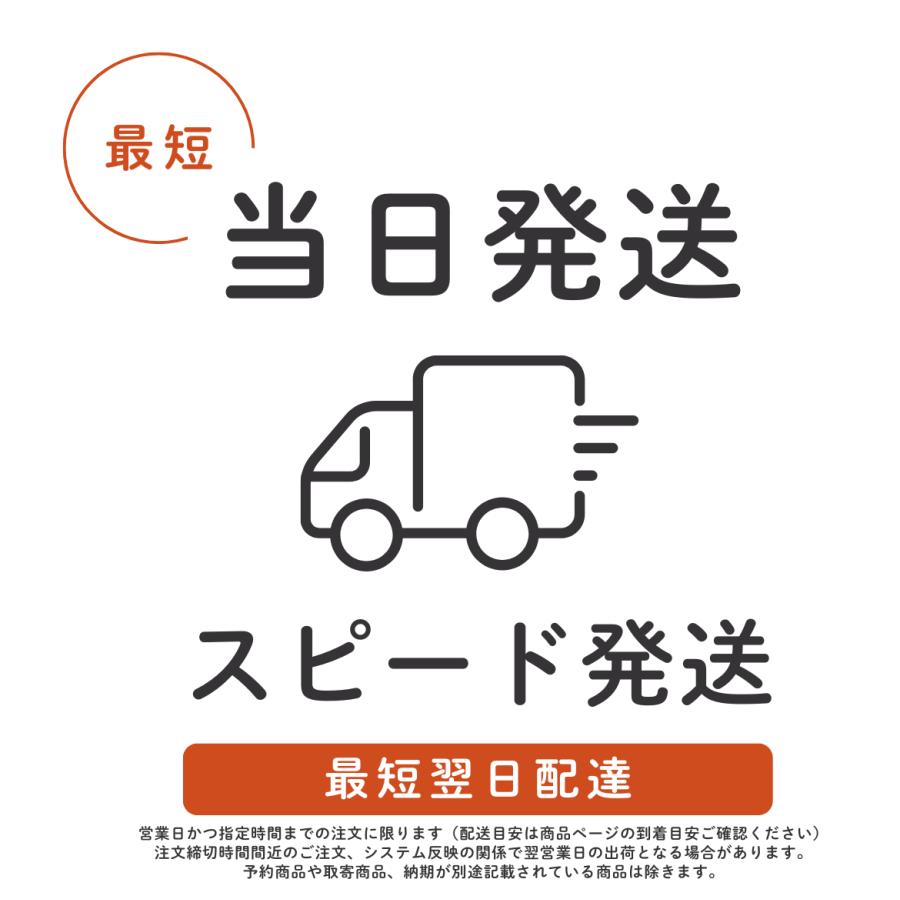 デュエル・マスターズ DM25-EX2 デュエル・マスターズTCG 王道vs邪道