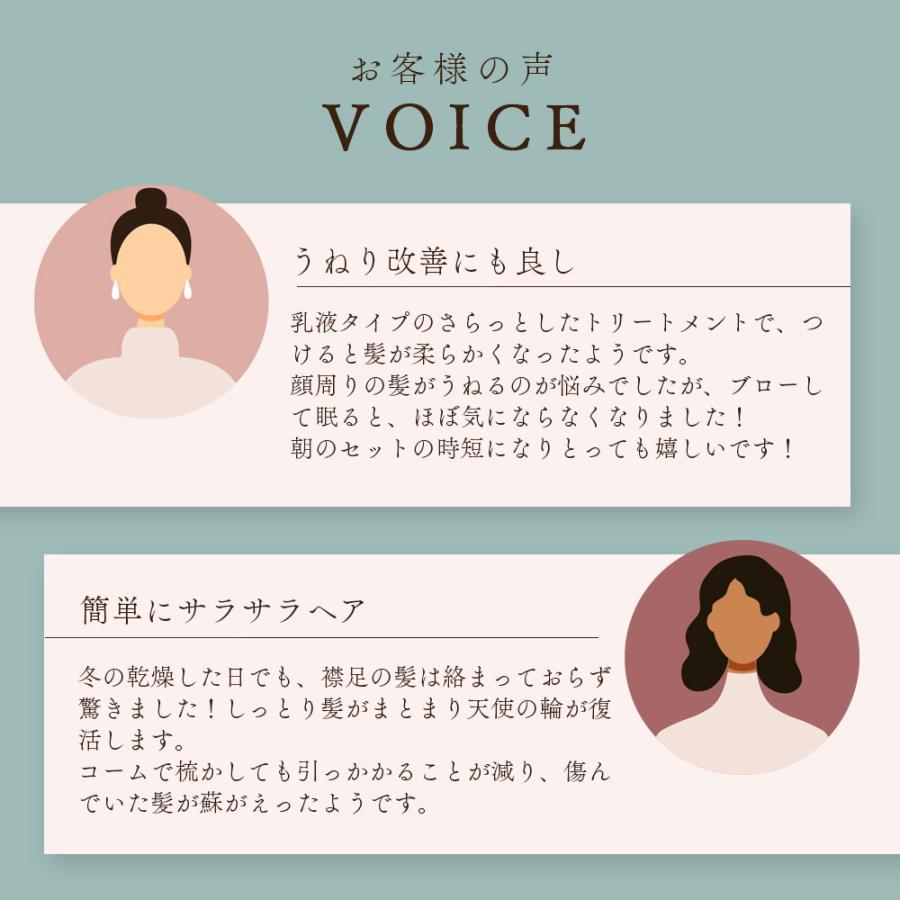 洗い流さないトリートメント アズマ商事 ドライヤーの前にヘア