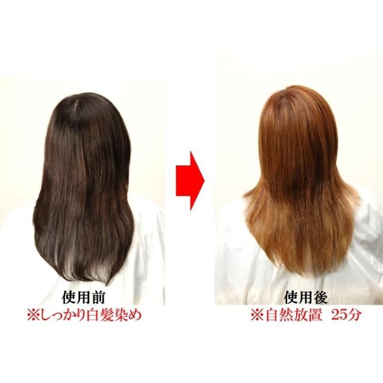 爆買 Kamicure カラークレンザー カラーリムーバー 毛染め落とし 脱染