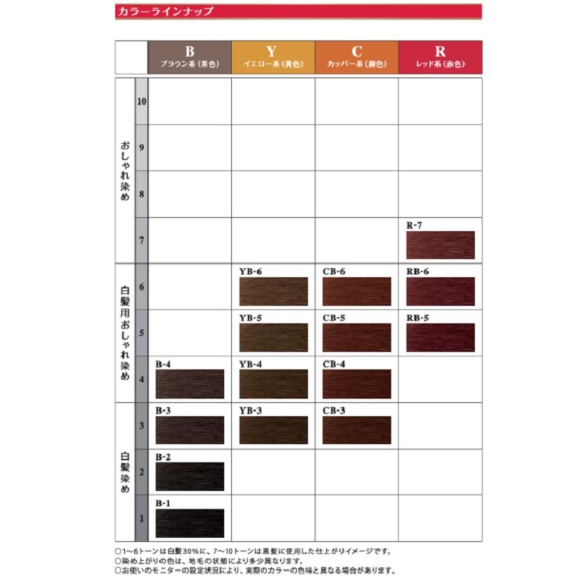 NiNE（ホーユー） 爆買 ホーユー アクアトーン 40mL+80mL ヘアカラー