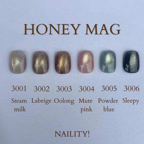 Naility!（ネイリティー） C3006 スリーピー 【マグネットジェル 3