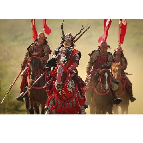 NHKエンタープライズ エントリーでP10倍！ 大河ドラマ 真田丸 総集編