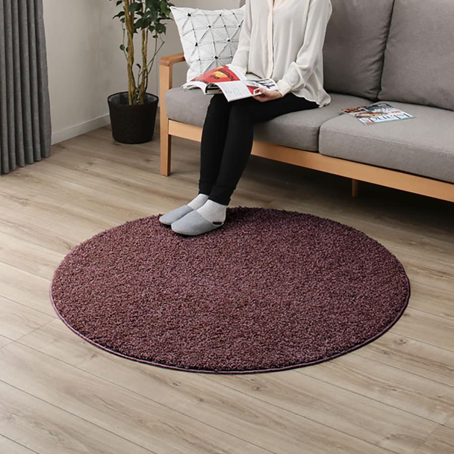 ニトリ（NITORI） ダニよけ・抗菌防臭・防炎カーペット(エアープラス