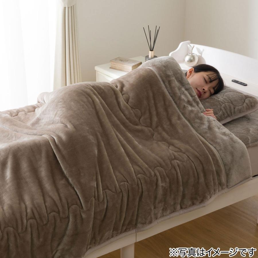 ニトリ（NITORI） 2枚合わせ 毛布 ダブル(NウォームWSP モカ A25