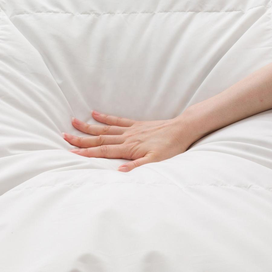 ニトリ（NITORI） 2枚合わせ羽毛掛ふとん クイーン(NTR-2 K2520 Q