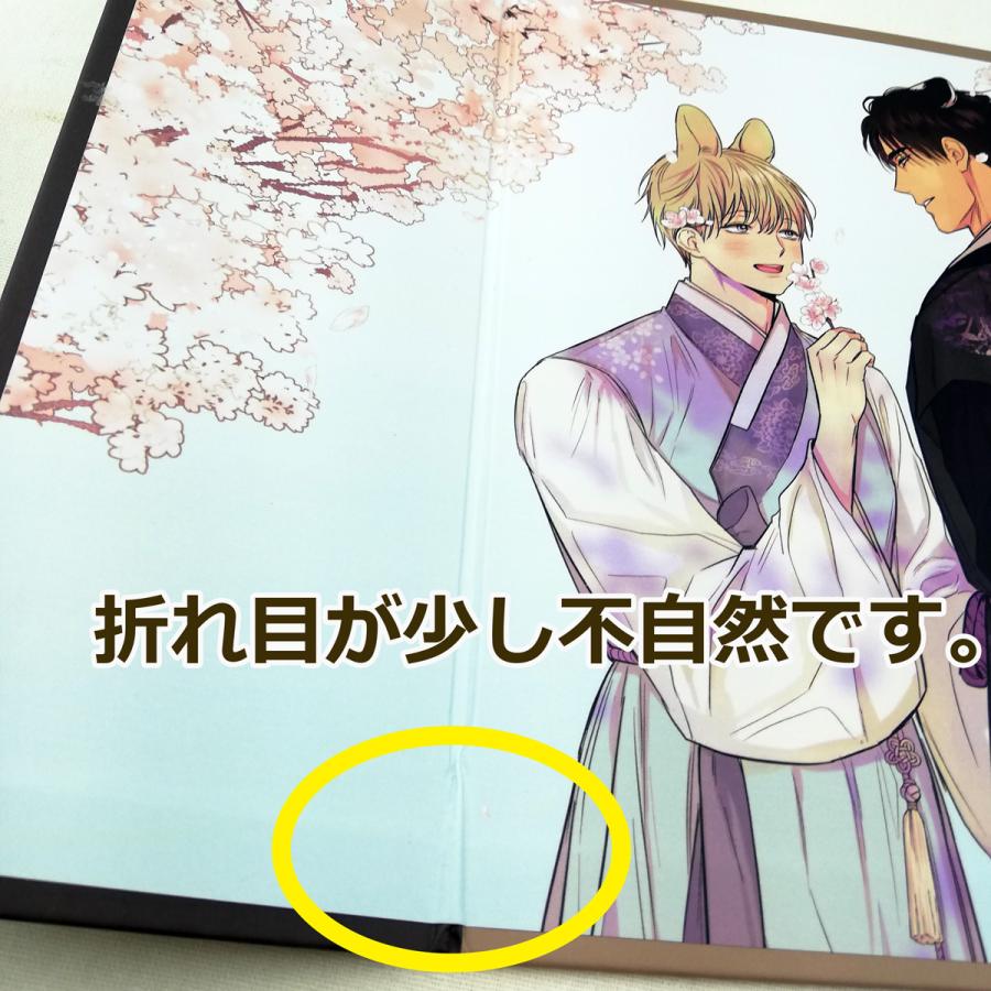 ☆訳あり☆限定版 韓国語 まんが『うさぎ伝：恋愛制限区域 外伝（SP